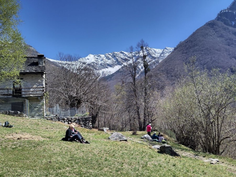 Bäume und blauer Himmer im Valle di Lodano
