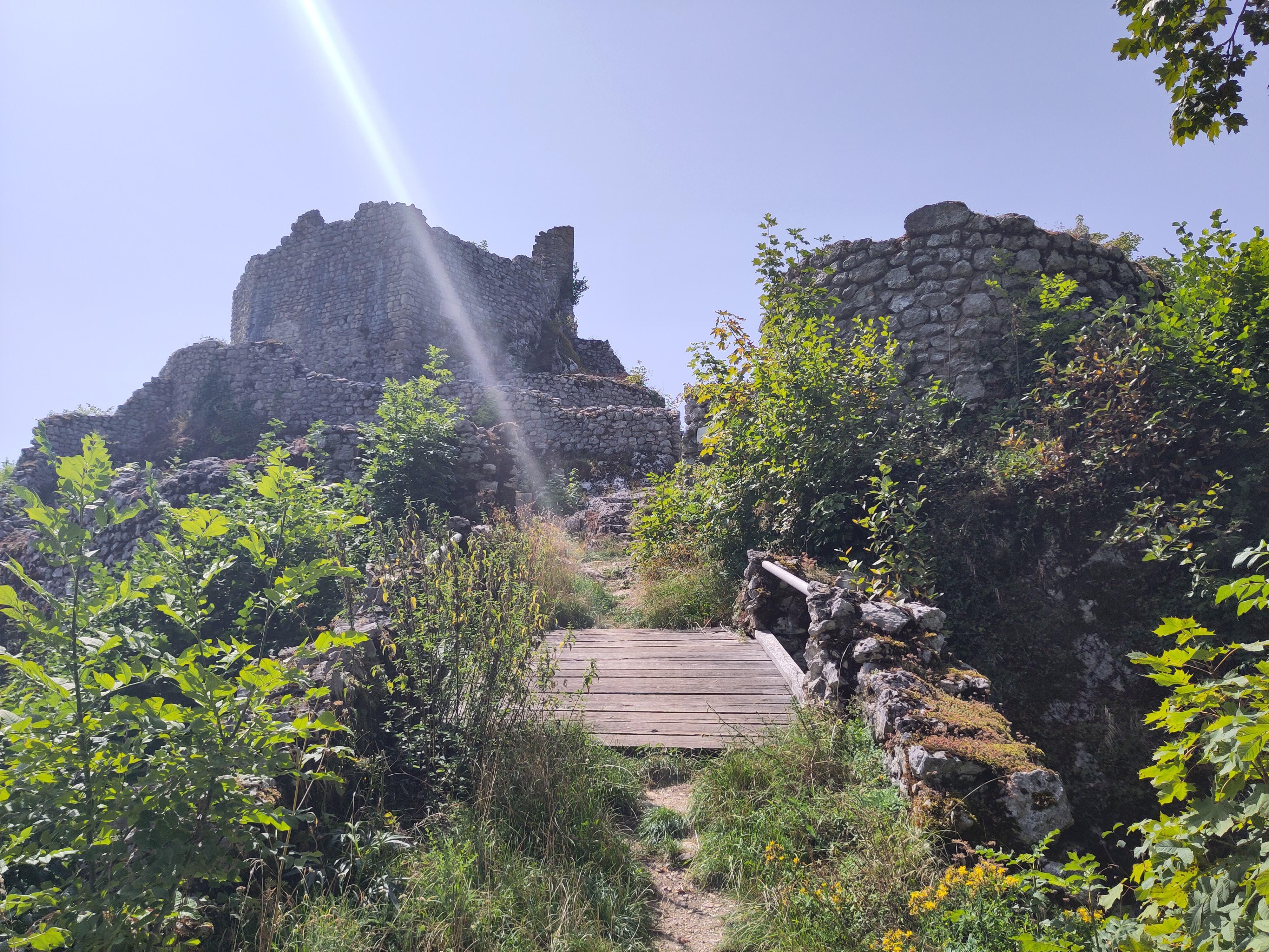 Ein Wanderweg im Jura