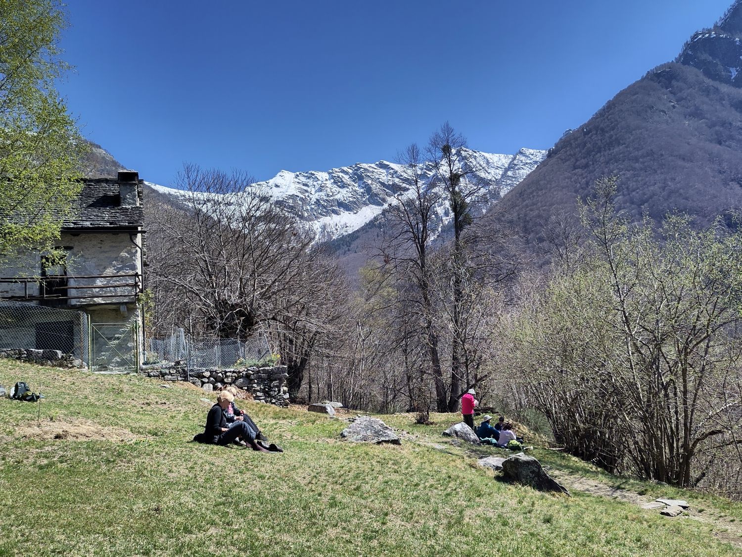 Bäume und blauer Himmer im Valle di Lodano