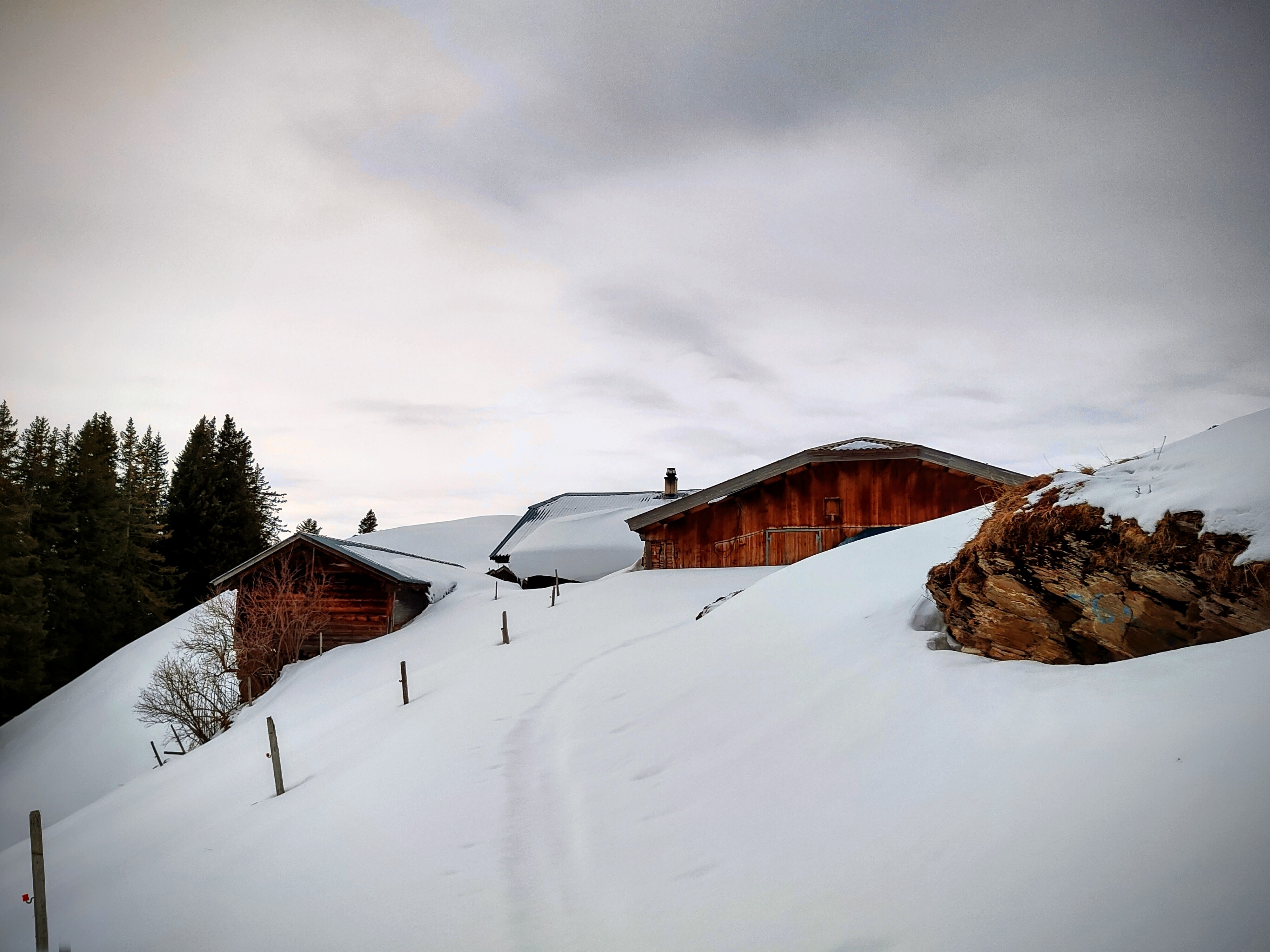 Sonne und Schnee im Aufstieg