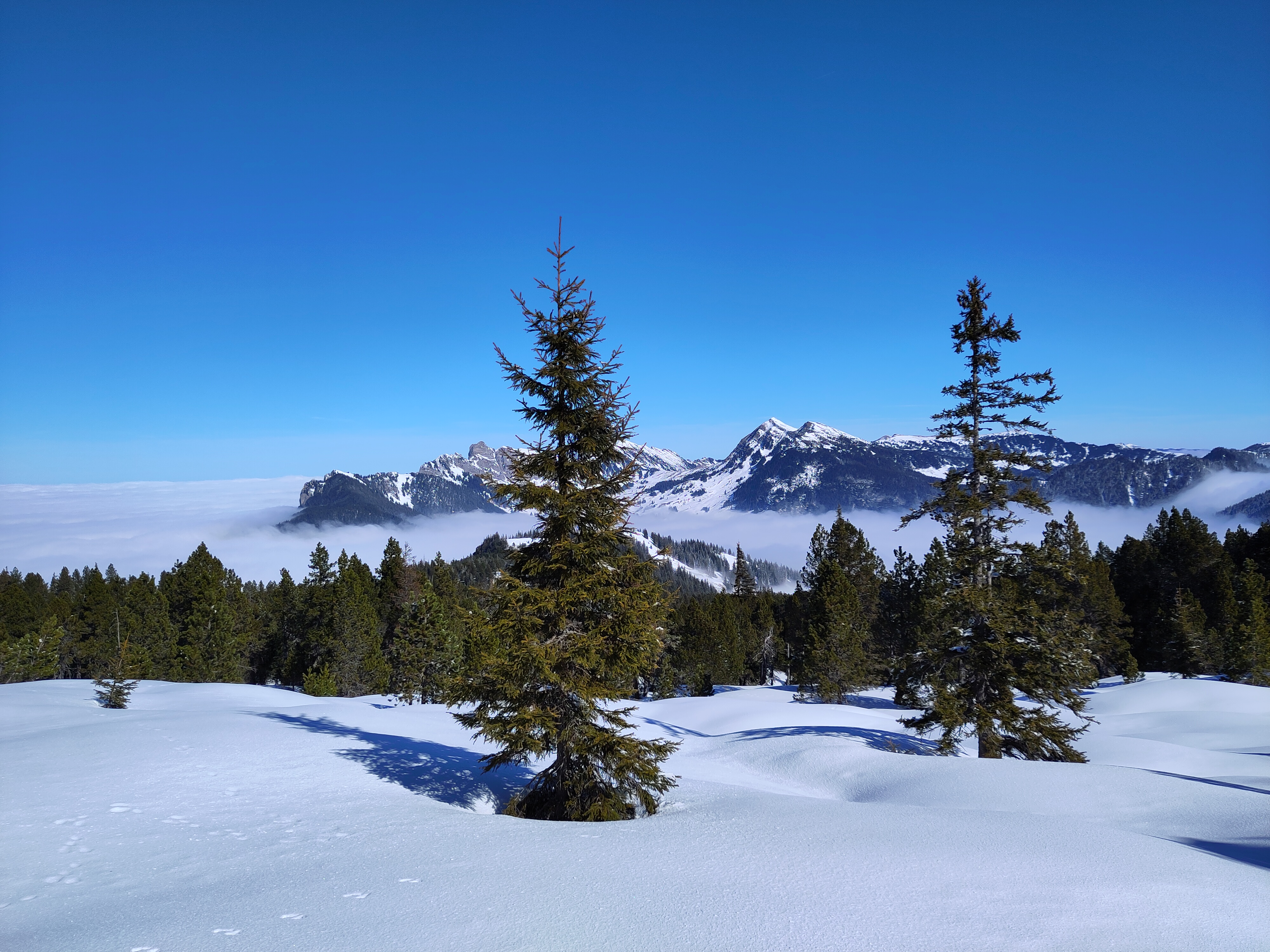 Sonne und Schnee im Aufstieg