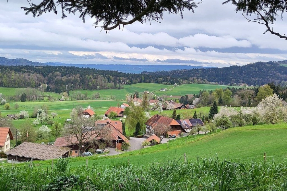 Verschneiter Wegweiser vor weisser Bergkulisse.