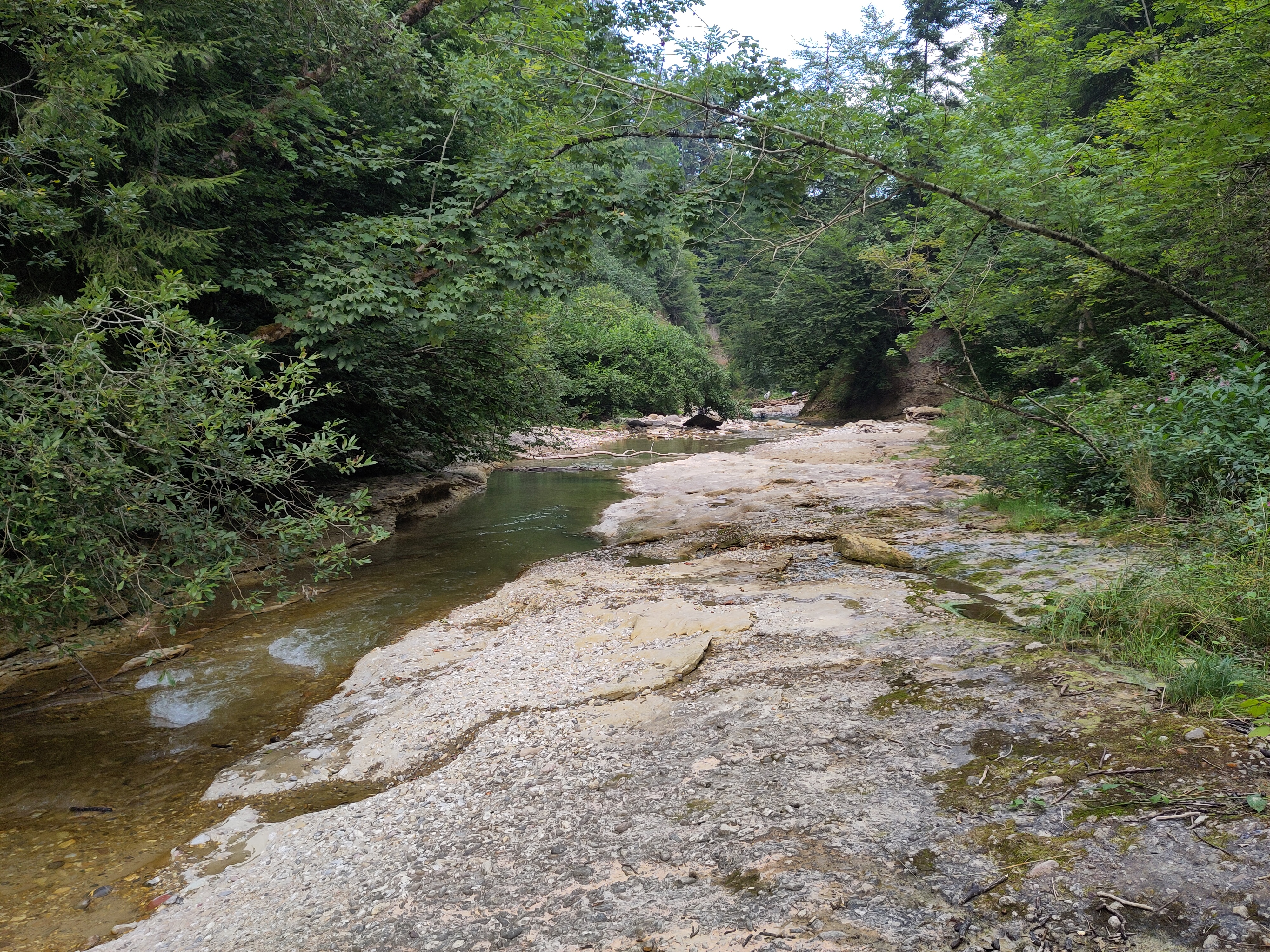 Die schönen Silene Acaulis Blumen und das Zeichen, dass dies eine Geburtstagstour von Beat Bachmann ist. 