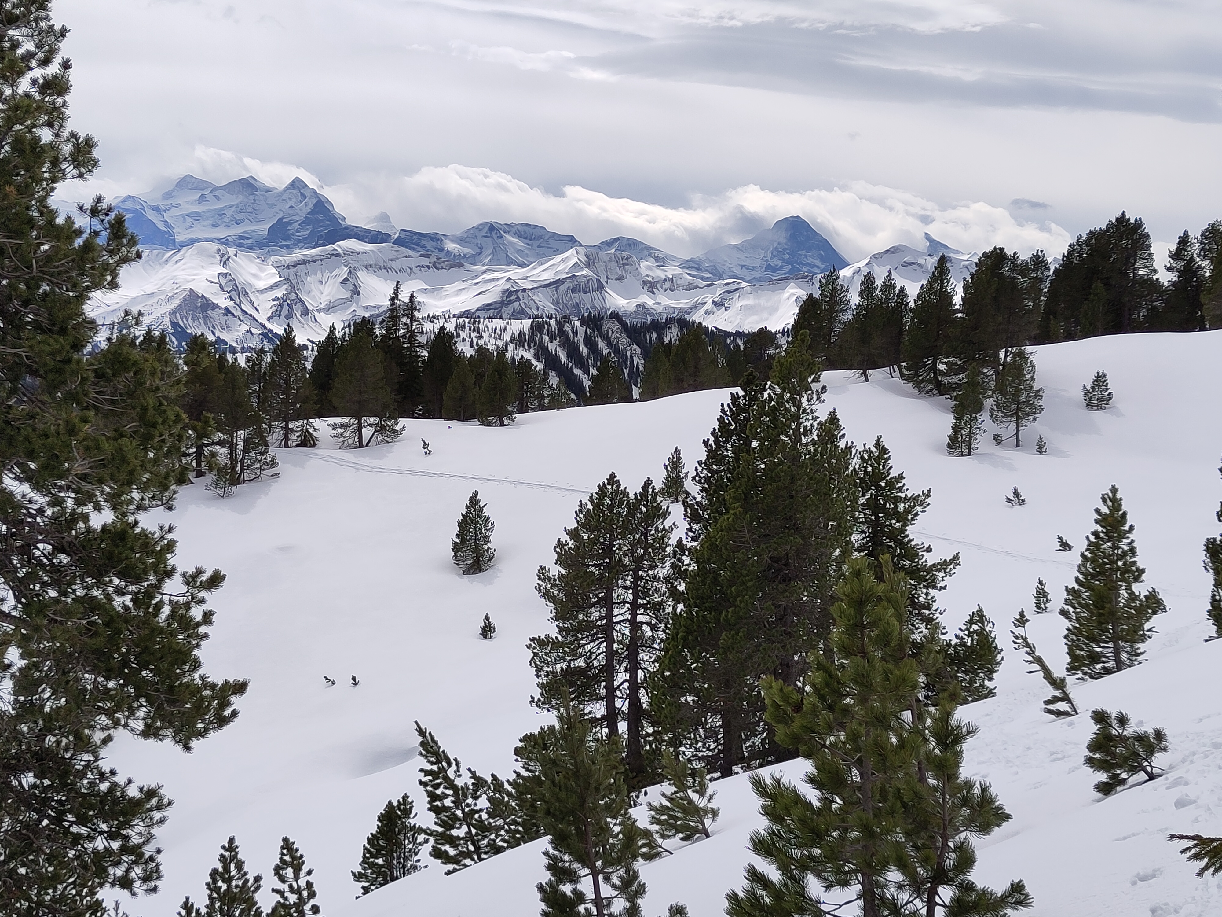 Sonne und Schnee im Aufstieg