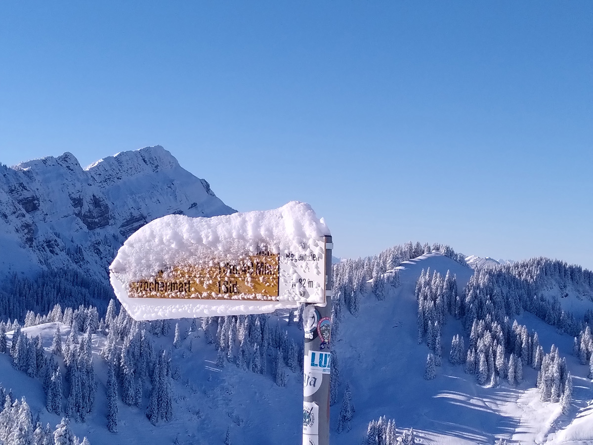 Verschneiter Wegweiser vor weisser Bergkulisse.