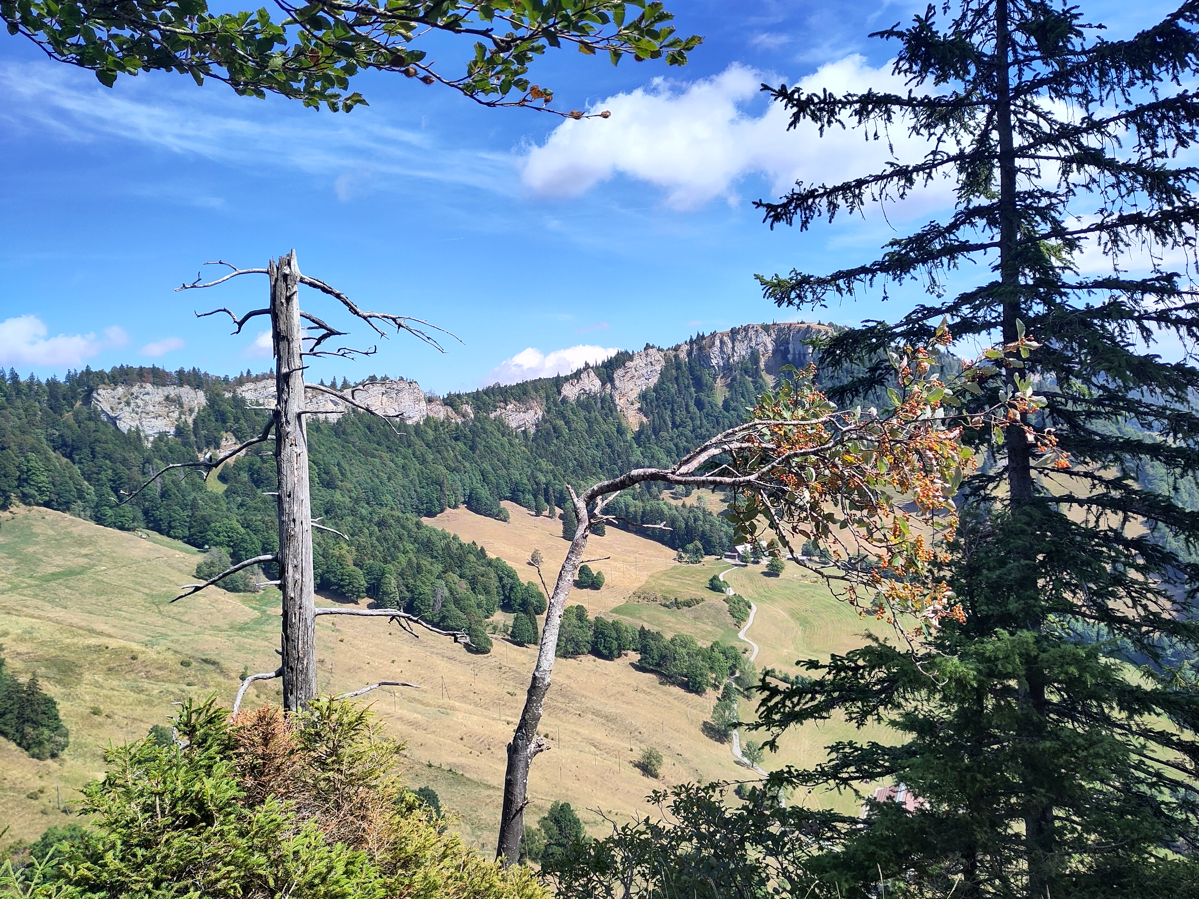 Verschneiter Wegweiser vor weisser Bergkulisse.